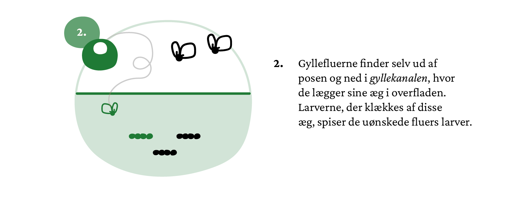 infografik_elementer_ gyllefluen-04_crop