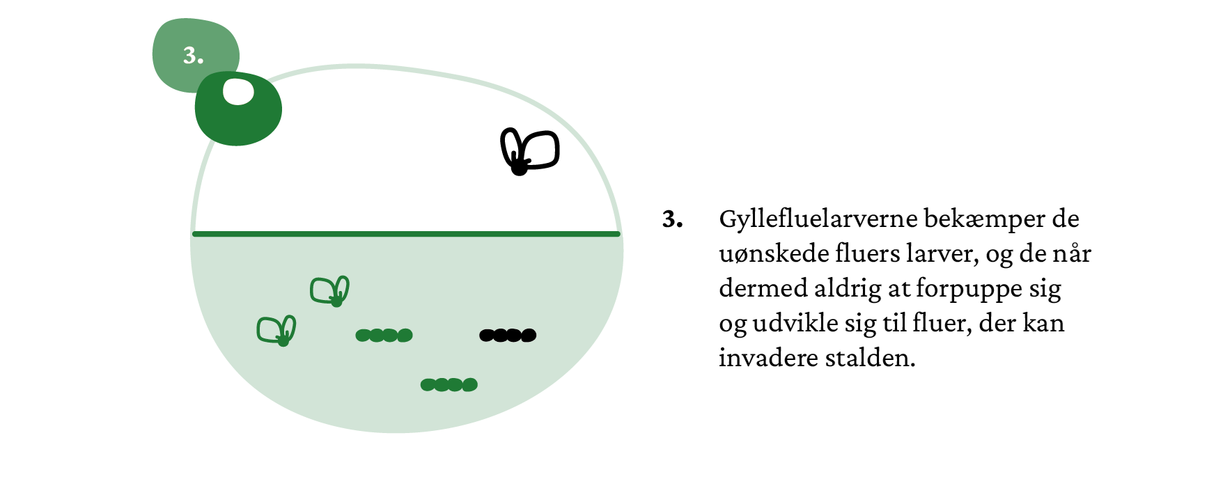 infografik_elementer_ gyllefluen-05_crop