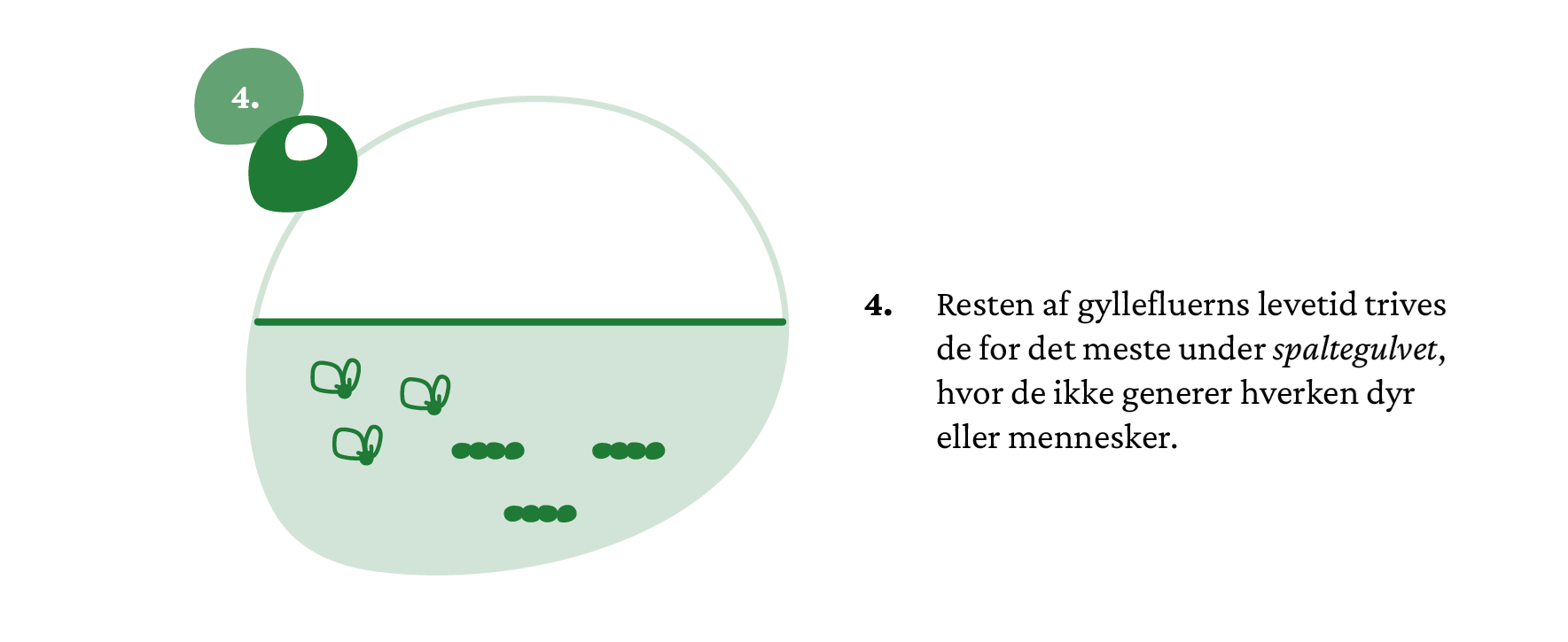 infografik_elementer_ gyllefluen-06_crop