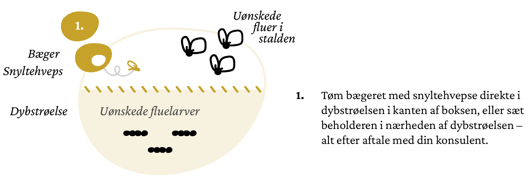 infografik_elementer_snyltehvepsen-03crop